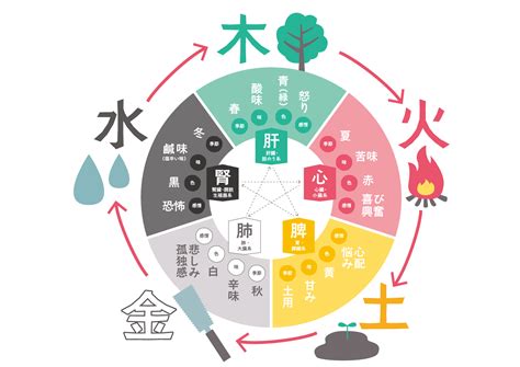 五行目|【漢方基礎知識】中医学の基礎となる哲学「五行学説」